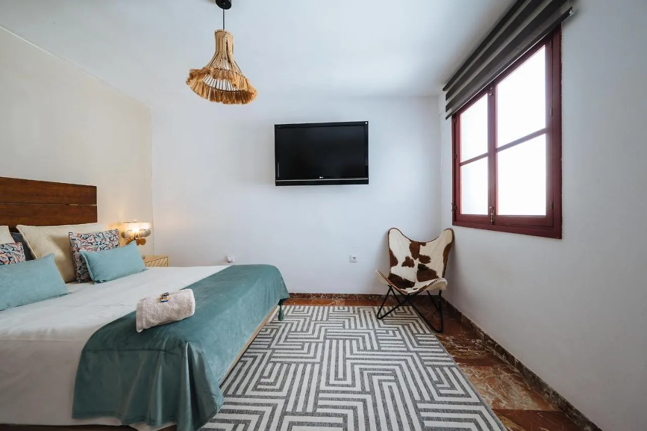 Atico Lujo Junto A La Catedral. Giralda Apartment Seville Spain