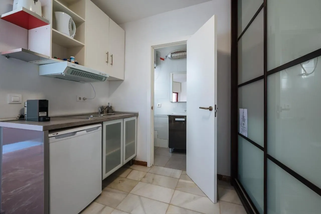 Atico Lujo Junto A La Catedral. Giralda Apartment Seville 0*,  Spain