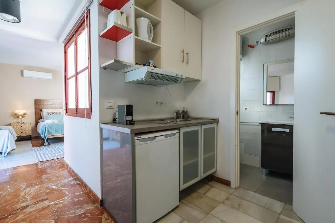 Atico Lujo Junto A La Catedral. Giralda Apartment Seville Spain