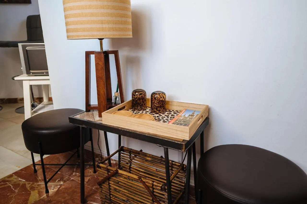 Atico Lujo Junto A La Catedral. Giralda Apartment Seville