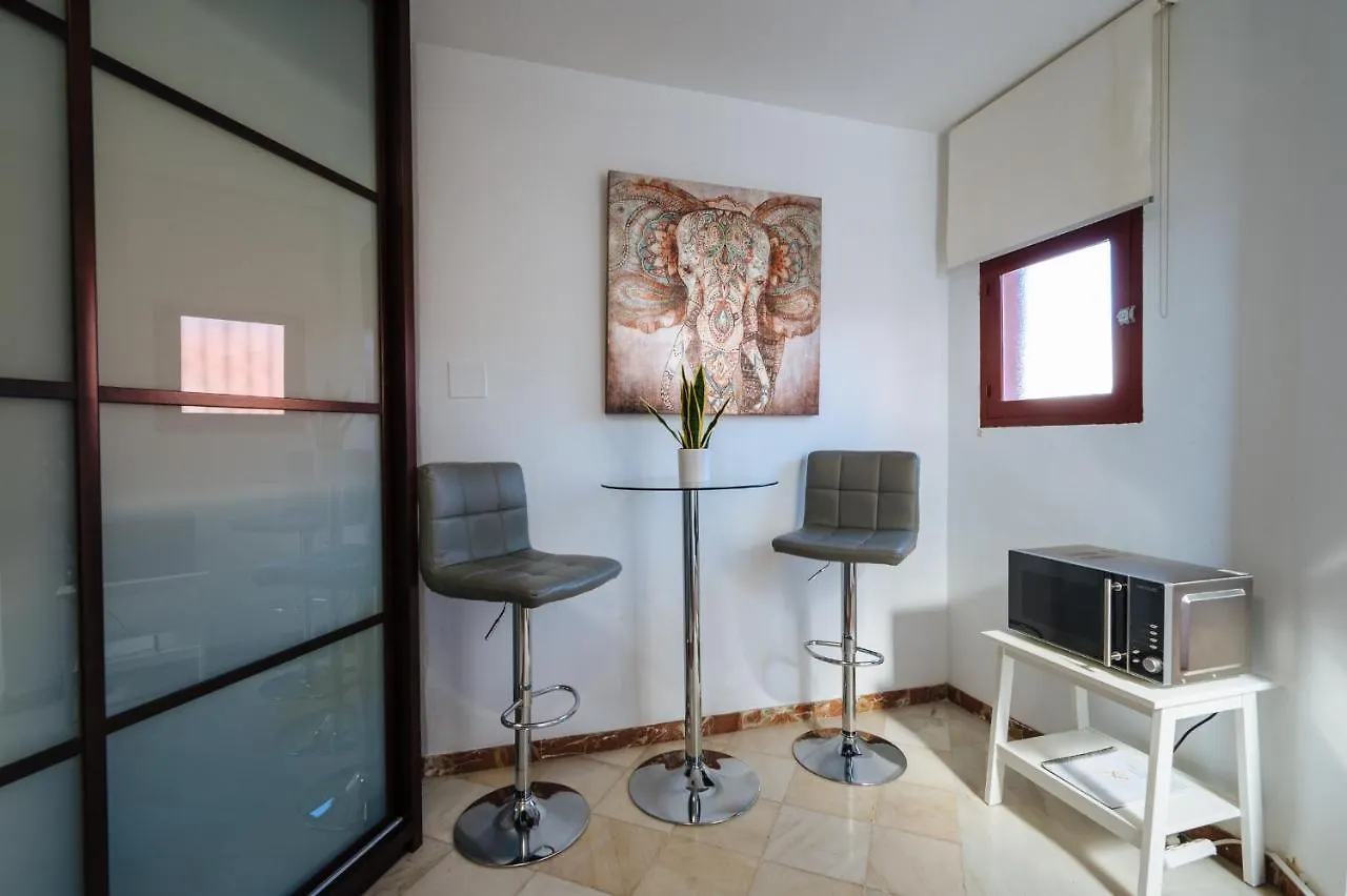 Atico Lujo Junto A La Catedral. Giralda Apartment Seville Spain